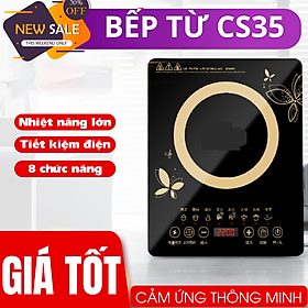 Bếp từ đơn cao cấp