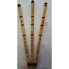 Mua Xưởng sáo hl sáo d5 01