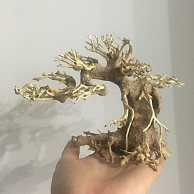 BONSAI CHO HỒ 30-40CM HÀNG TUYỂN CHỌN MẪU ĐẸP NHẤT TẠI SHOP | LŨA GỖ BONSAI THIẾT KẾ HỒ CÁ THUỶ SINH