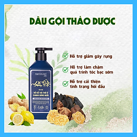 Nam Nung Dầu Gội Bồ Kết Hà Thủ Ô Chanh Gừng,Ngăn Ngừa Rụng,Làm Sạch Gàu chai 500ml