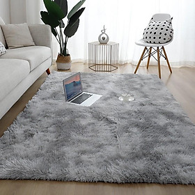Mua Thảm Lông Trải Sàn 1m2 x 1m6  1m6 x 2m  1m6 x 2m3 Sang Trọng cho Phòng Khách  Ngủ  Chụp Hình ..v...v...