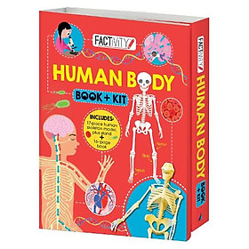 Hình ảnh Human Body