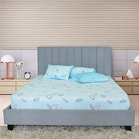 Bộ drap gối cotton phối màu Hometex - C