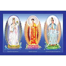 Mua Tranh Phật giáo  tranh tam thánh treo tường  trang trí phòng thờ