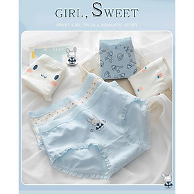 Set 5 Quần Lót Nữ Cotton Thỏ Xanh Thương Kháng Khuẩn Min_ Set 5 Quần Lót Cotton Họa tiết cute