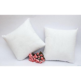 Mua Ruột Gối tựa lưng vuông 45*45cm bông hạt cao cấp.