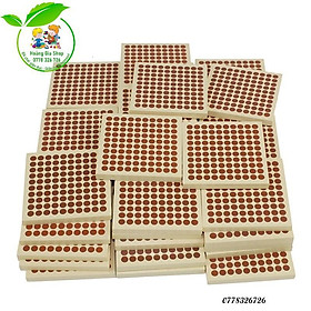 Bộ 45 khối gỗ 100 (45 Wooden Hundred Squares)