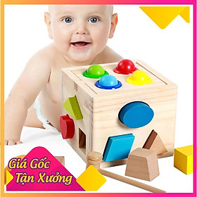 Nhà Thả Số Đập Bóng HCM-GIÁ SỈ Đồ Chơi Gỗ Montessori ,An Toàn,Màu Sắc Đẹp