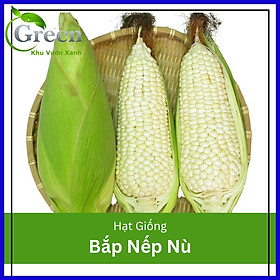 Hạt Giống Bắp Nếp Nù OP Dẻo Ngon (50 Gam)