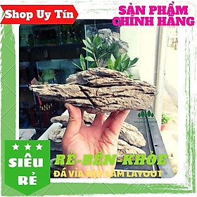 Mua Đá Vỉa Loại Đẹp | Trang trí Bể Cá Thủy Sinh  Phong Cách Biotope  Iwagumi (1KG)
