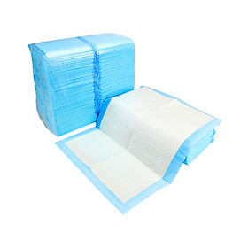 Tã Lót Chuồng Cho Thú Cưng (10 Miếng)