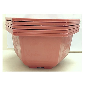 5 Chậu Nhựa Lục Giác Trồng Hoa, Cây Cảnh Bình Thuận Bonsai 350x210