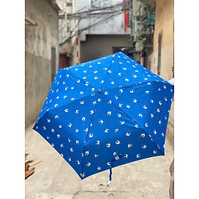 Mua Ô gấp gọn xuất Nhật
