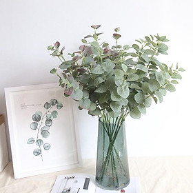 Mua Loại 1-Hoa Giả - CÀNH KHUYNH DIỆP LỚN 68cm Giống Thật - 1 Cành 3 Nhánh trang trí nhà cửa cắm điểm