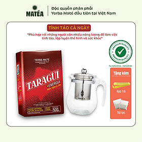 Mua  COMBO  Trà Yerba Maté Taragui Energia - Vị Tăng Lực + Bình thủy tinh + Tặng 1 kẹp trà + 10 túi lọc trà tái sử dụng