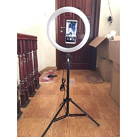 Mua ĐÈN LIVETREAM - ĐÈN CHIẾU SÁNG - ĐÈN TRỢ SÁNG - ĐÈN CHỤP MẪU