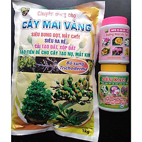 Bộ 3 phân bón hoa Mai nở đều, to, đẹp, lâu tàn