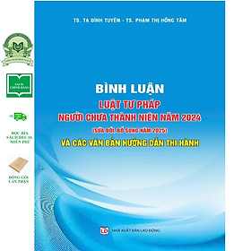 Bình Luận Luật Tư Pháp Người Chưa Thành Niên Năm 2024 (Sửa Đổi, Bổ Sung Năm 2025) Và Các Văn Bản Hướng Dẫn Thi Hành