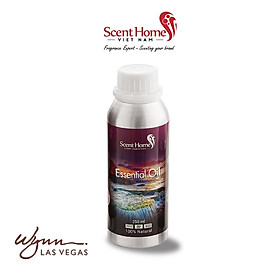Mua Tinh dầu Scent Homes - mùi hương (Wynn Casino)
