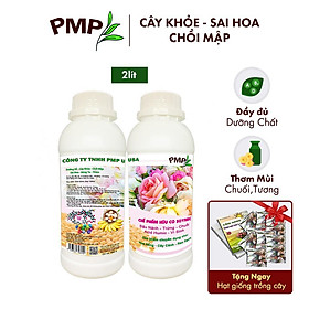 Combo 2 Chai Phân SOYMIC PMP Siêu Phân Bón Ủ Vi Sinh Từ Đậu Nành, Trứng, Chuối, Vi Lượng Cho Hoa Hồng, Rau Sạch