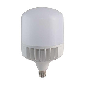 Bóng đèn led bulb trụ 80W Rạng Đông, model LED TR140/80w