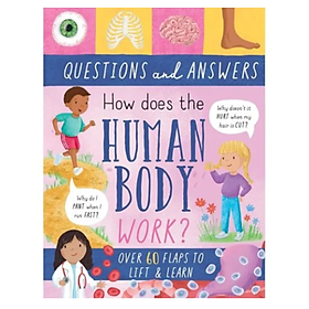 Sách Large Q&A Flap Book - Human Body