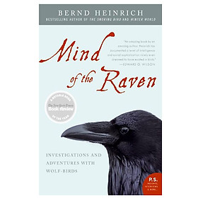 Mind of the Raven