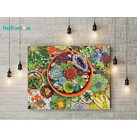 Tranh Tô Màu Số Hóa Thiên Nhiên Sen Đá Dalicustom Căng Khung Sẵn 50x40cm