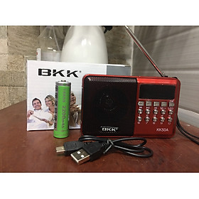 Mua Loa BKK KK50A Có Đèn Pin - Hàng Nhập Khẩu