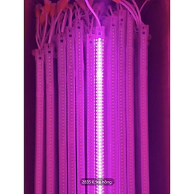 Mua Đèn led thanh màu 50cm dùng điện 220v