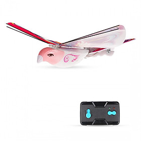 Đồ Chơi Điều Khiển Từ Xa Hình Chim TECHBOY 98083