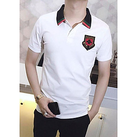 Áo Thun Nam Cổ Polo Phối Viền Logo Đẹp