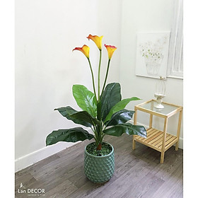 Cây giả - cây hoa rum trang trí nhà, quán cà phê, tiểu cảnh LanDecor - LC1738