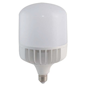 Mua Đèn LED Bulb trụ 80w Rạng Đông Model TR140 80W