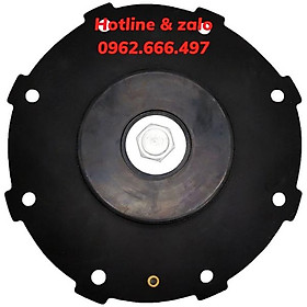 Mua Màng van ASCO 1 inch 1 5 inch 2 inch 2 5 inch 3 inch