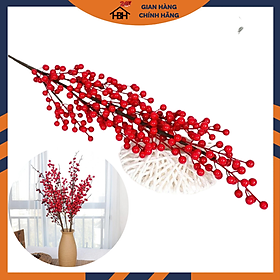 Mua Hoa Đào Đông Đỏ Chơi Tết Cho Ngày Tết Sang Chảnh HBH