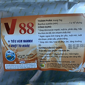 Men tiêu hóa V88 giúp tiêu hóa tốt, ruột to, phát triển tốt dùng cho thủy sản.