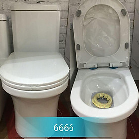 Mua Bồn cầu liền khối 6666