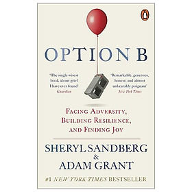 Option B : Facing Adversity, Building Resilience, and Finding Joy