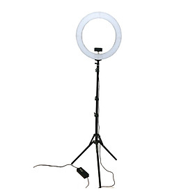 Đèn hỗ trợ Livestream Make up Max size đường kính 49cm