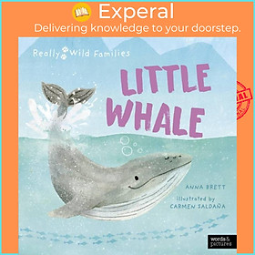 Sách - Little Whale - A Day in the Life of a Whale Calf by Carmen Saldana (UK edition, hardcover)