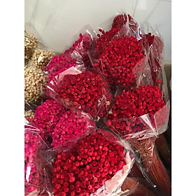 Mua HOA CÚC HẠNH PHÚC KHÔ