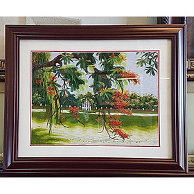 Mua Hồ Gươm phượng 4 - PQ391