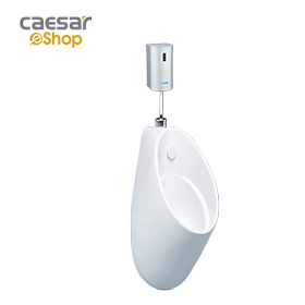 Mua Bệ Tiểu Nam Treo Tường - U0211