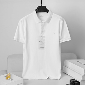 Áo POLO thêu chữ vải cá sấu co dãn 4 chiều fullsize-tsstore95