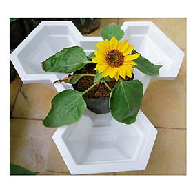 Chậu Hoa Tầng Việt Nhật No.2232, Kích Thước 32x32x14Cm