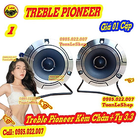 Mua HAI CỦ LOA TREBLE PIO NEEER (14) MÀNG NANO KÈM TỤ 3.3MF Kem Chân