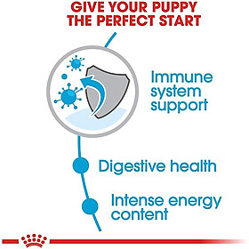  Royal Canin Mini Puppy -Thức ăn hạt cho chó con cỡ nhỏ, thức ăn cho thú cưng