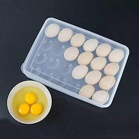 Khay đựng trứng 24 quả bằng nhựa cao cấp