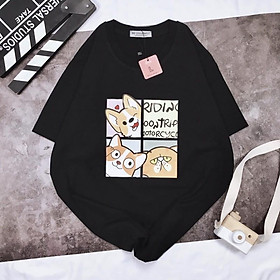 Áo Thun Tay Ngắn UNISEX in Decal CORGI - Hình chụp thật  - Số đo ở cuối